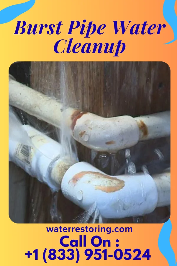 Burst Pipe Water Cleanup in Mechanicsburg, PA