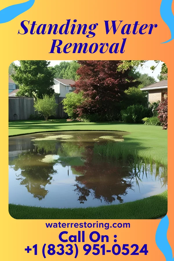 Standing Water Removal in Mechanicsburg, PA